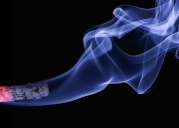 Ο αντικαπνιστής βουλευτής που «καρφώνει» τους «παραβάτες»