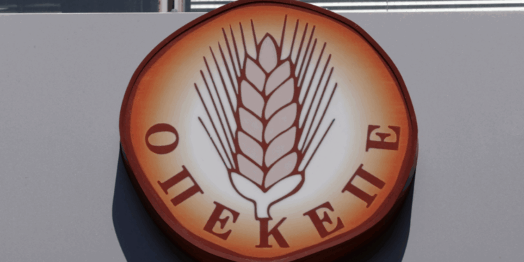 Πρόεδρος εργαζομένων ΟΠΕΚΕΠΕ: Άφησαν τον οργανισμό να καταρρεύσει