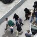 ΟΠΕΚΕΠΕ: Τα στοιχεία που «έκαψαν» τον εγκέφαλο της εγκληματικής οργάνωσης