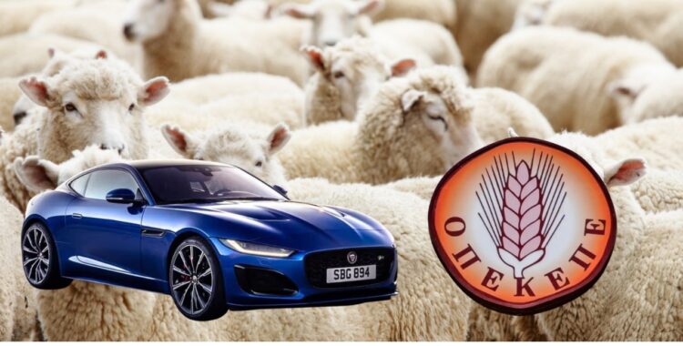 ΟΠΕΚΕΠΕ: Ο «Φραπές» με 2,5 εκατομμύρια αδικαιολόγητη περιουσία, 7 αυτοκίνητα και μια Jaguar