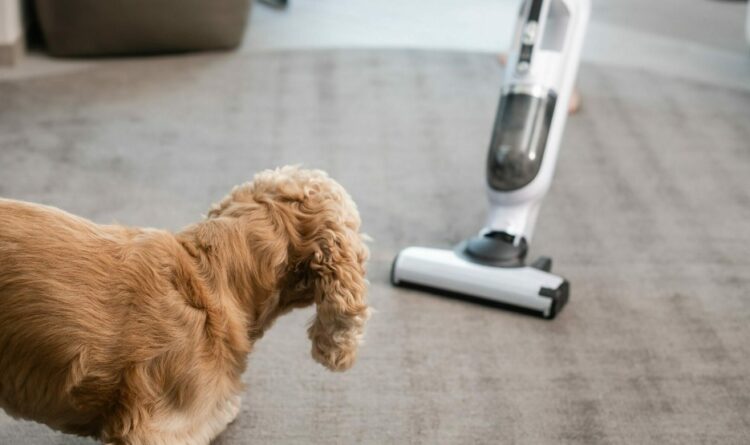 Ανακαλούνται κατά χιλιάδες ηλεκτρικές σκούπες – Τι πρέπει να κάνουν οι καταναλωτές