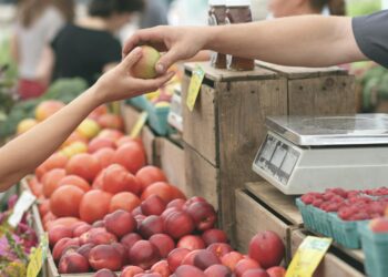 Στενάζουν τα νοικοκυριά: Για να ζήσουν στρέφονται στον κουμπαρά που… δεν έχουν! – Τι δείχνουν τα στοιχεία