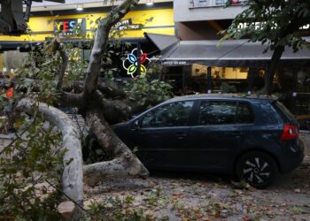 Δέντρο έπεσε σε αυτοκίνητο σε κεντρικό δρόμο της Θεσσαλονίκης