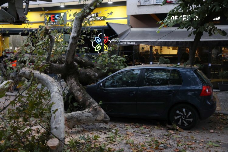 Δέντρο έπεσε σε αυτοκίνητο σε κεντρικό δρόμο της Θεσσαλονίκης