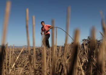 Με ΦΕΚ του 2021 τα κρητικά βοσκοτόπια στην Πίνδο