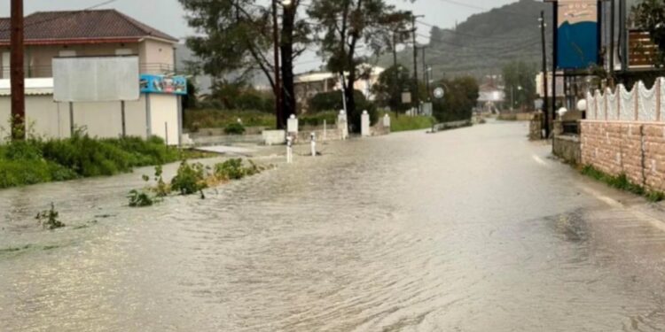 Κακοκαιρία στη Ζάκυνθο: Προβλήματα στο οδικό δίκτυο από πτώσεις δέντρων