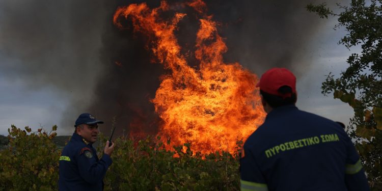 Τραγικό περιστατικό στην Εύβοια – Νεκρός άνδρας μετά από φωτιά σε χωράφι