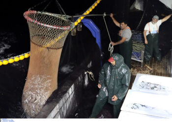 Διαμαρτυρία αλιέων στον Πειραιά για τα θαλάσσια πάρκα