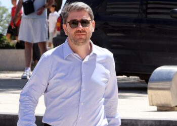 Πρωτοβουλία Ανδρουλάκη για Βορίζια: Είναι ώρα όλοι να ενώσουμε δυνάμεις, ώστε τέτοια φαινόμενα να τελειώσουν οριστικά