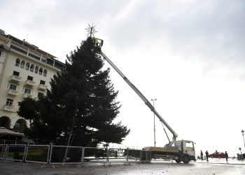 Χριστούγεννα με κοντομάνικα