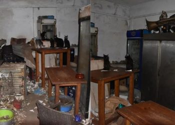 Δονούσα: Πρόστιμο 1,7 εκατ. ευρώ σε 63χρονο για κακοποίηση ζώων