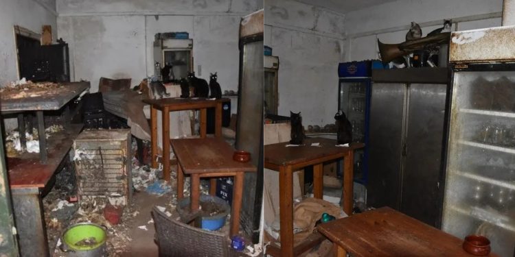 Δονούσα: Πρόστιμο 1,7 εκατ. ευρώ σε 63χρονο για κακοποίηση ζώων