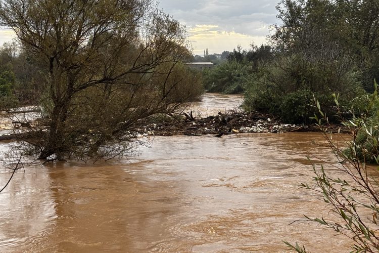 Καταδρομείς στην Φιλιππιάδα έσωσαν άλογο από τις πλημμύρες