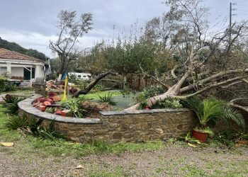 Κακοκαιρία Adel: Ανεμοστρόβιλος «ξερίζωσε» την Φοινικούντα! (φωτό)