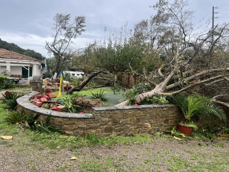 Κακοκαιρία Adel: Ανεμοστρόβιλος «ξερίζωσε» την Φοινικούντα! (φωτό)