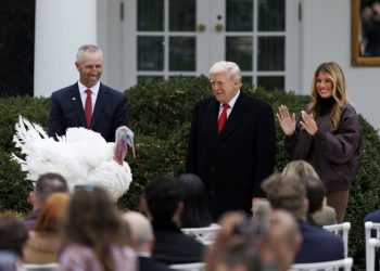 «Χάρτινη» η γαλοπούλα, ψεύτικη η φτηνή βενζίνη