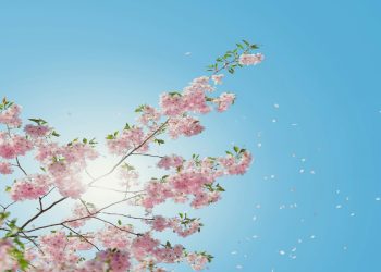 Καιρός: Ηλιόλουστος και νέα μικρή άνοδος της θερμοκρασίας