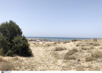 «Μαζί για την Καλογριά» – Κοινό μέτωπο ΣΥΡΙΖΑ και Νέας Αριστεράς