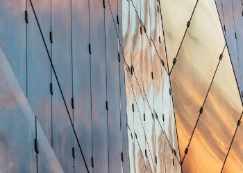 Η τυραννία της διαφάνειας