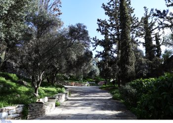 Ο Δήμος Αθηναίων παραχωρεί δωρεάν το κυλικείο του Λόφου Στρέφη σε κοινωνικούς φορείς