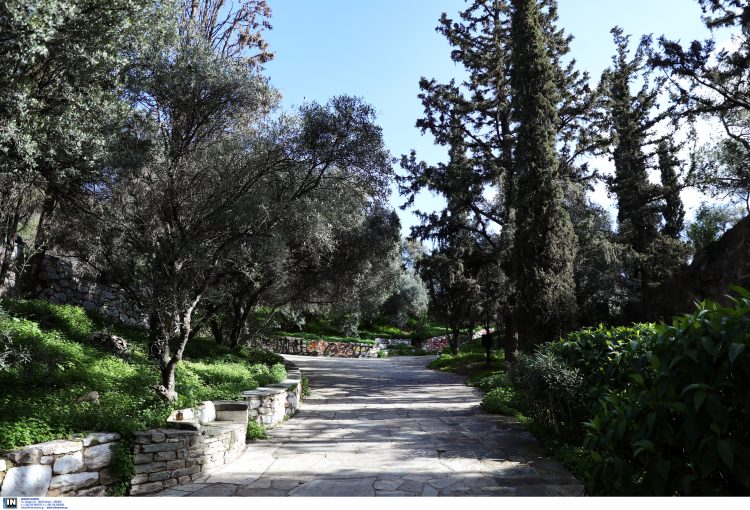 Ο Δήμος Αθηναίων παραχωρεί δωρεάν το κυλικείο του Λόφου Στρέφη σε κοινωνικούς φορείς