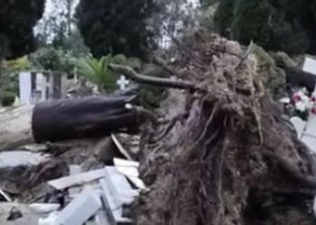 «Βούλιαξαν» Κέρκυρα και Θεσπρωτία, έπεσε βροχή ενός μήνα – Πλημμύρες και κατολισθήσεις