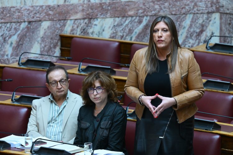 Πλεύση Ελευθερίας: Η Ελλη Ρούσσου θα πάρει εκτός απροόπτου τη θέση του Καραναστάση στη Βουλή