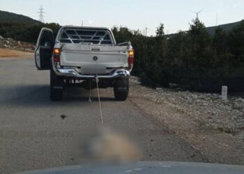 Βοιωτία: Αγροτικό όχημα έσερνε νεκρό σκύλο