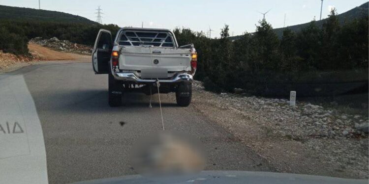 Βοιωτία: Αγροτικό όχημα έσερνε νεκρό σκύλο