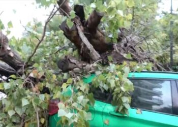 Θεσσαλονίκη: Δύο πτώσεις δέντρων λόγω της κακοκαιρίας