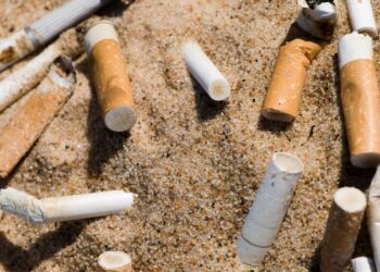 WWF: Η Ελλάδα κινδυνεύει να χάσει το τρένο για τη ρύπανση από αποτσίγαρα