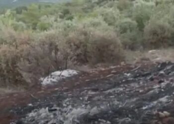 Βοιωτία: Το σενάριο της καλά σχεδιασμένης δολοφονίας