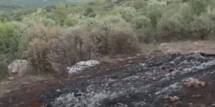 Βοιωτία: Το σενάριο της καλά σχεδιασμένης δολοφονίας