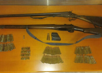 Βορίζια: Όταν η βία δοκιμάζει την κοινωνία – Το μήνυμα Ανδρουλάκη και η παρέμβαση Διαμαντοπούλου