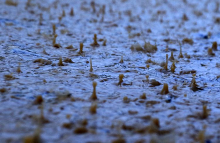 Προβλήματα στην Ηλεία από τις βροχοπτώσεις