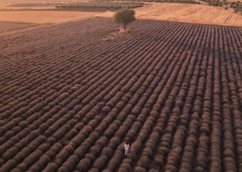 Πως η Κυβέρνηση άφησε χωρίς νερό τις καλλιέργειες του Έβρου