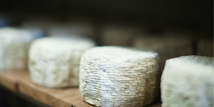 ΕΦΕΤ: Ανακαλεί μυζήθρα – Ανιχνεύτηκαν επικίνδυνες τοξίνες