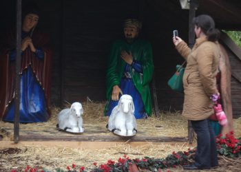 Σάλος στον Βόλο: Ζωντανό πόνι στην Χριστουγεννιάτικη φάτνη του Μπέου