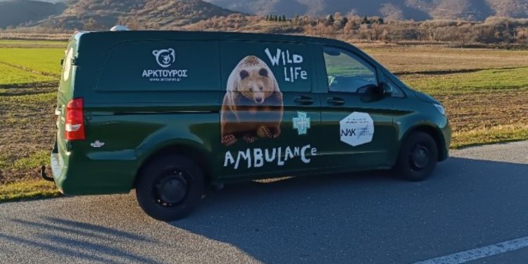 Αρκτούρος: Απέκτησε το πρώτο ασθενοφόρο άγριων θηλαστικών στην Ελλάδα!
