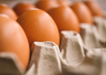 To Tέξας έκλεισε την πόρτα στον Μπέζος και τα τεχνητά αυγά του