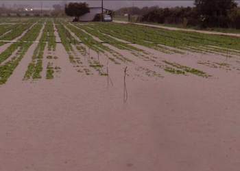 Μπελαβίλας: «Το πρόβλημα δεν είναι η πλημμύρα, αλλά η ίδια η Μάνδρα»