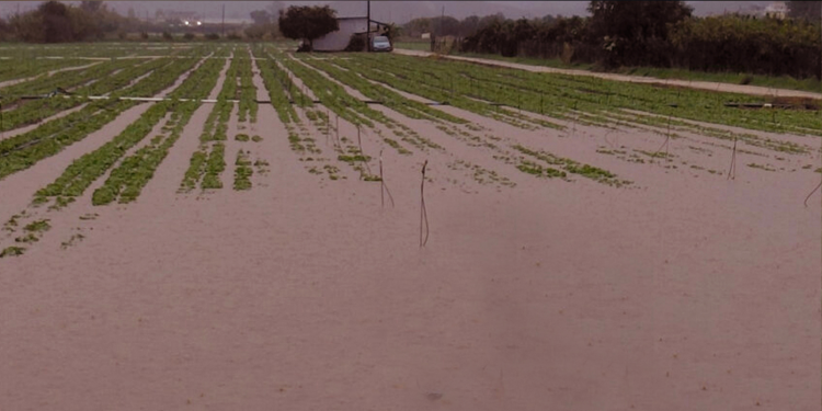 Μπελαβίλας: «Το πρόβλημα δεν είναι η πλημμύρα, αλλά η ίδια η Μάνδρα»