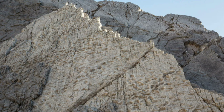 Σπουδαία ανακάλυψη στην Ιταλία – Ίχνη δεινοσαύρων εντοπίστηκαν στις Άλπεις (φώτο)