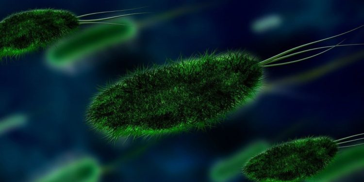 Nature’s 10 για το 2025: Οι επιστήμονες που άλλαξαν τη χρονιά με το θάρρος και το έργο τους