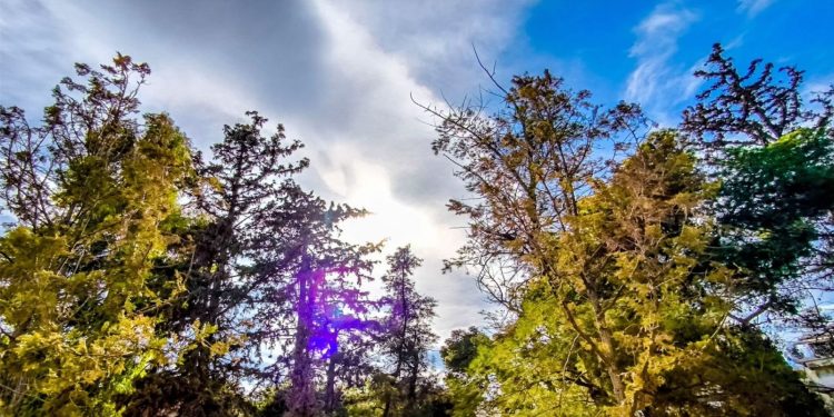 Καιρός: Αίθριος σε όλη τη χώρα – Στους 20 βαθμούς η θερμοκρασία