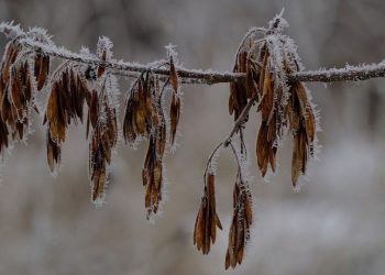 Τσουχτερό κρύο και θυελλώδεις άνεμοι στην Κεντρική Μακεδονία