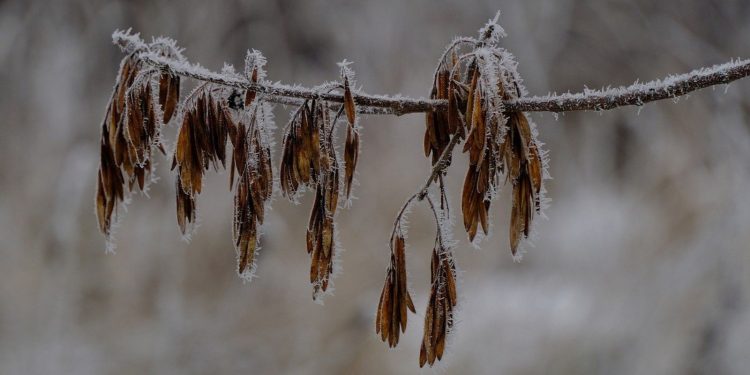 Τσουχτερό κρύο και θυελλώδεις άνεμοι στην Κεντρική Μακεδονία