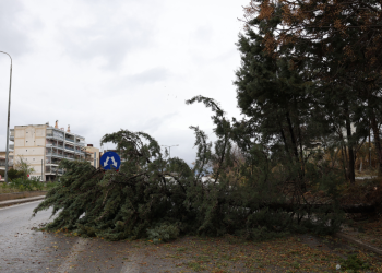 Ισχυροί άνεμοι σαρώνουν τη Θεσσαλονίκη – Σε πλήρη επιφυλακή η Πολιτική Προστασία