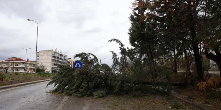 Ισχυροί άνεμοι σαρώνουν τη Θεσσαλονίκη – Σε πλήρη επιφυλακή η Πολιτική Προστασία