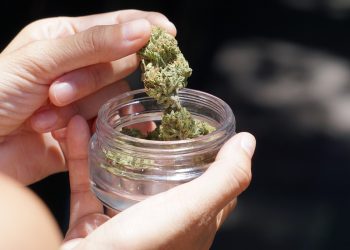 Νέα μελέτη για την κάνναβη: Τα πραγματικά οφέλη και οι κρυφοί κίνδυνοι της ιατρικής χρήσης